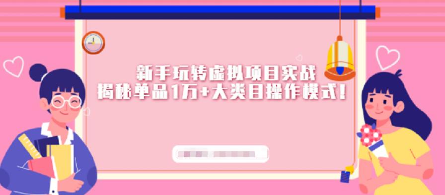 新手玩转虚拟项目实战，揭秘单品1万+大类目操作模式【视频课程】-SBYUN网创