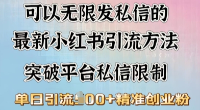 最新“摆烂式”引流打法，小红书私信引流，单天引流100+-SBYUN网创