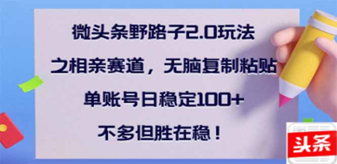 （14334期）微头条野路子2.0玩法之相亲赛道，无脑搬砖复制粘贴，单账号日稳定300+…-SBYUN网创