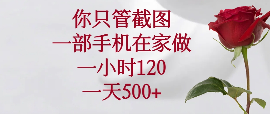 （14248期）你只管截图，一部手机在家做，一小时120，一天500+-SBYUN网创