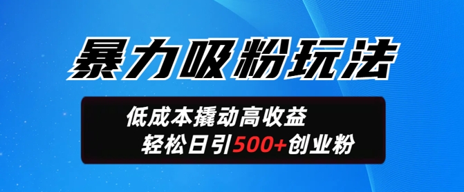 暴力吸粉玩法，日引500+精准创业粉，日变现轻松多张-SBYUN网创