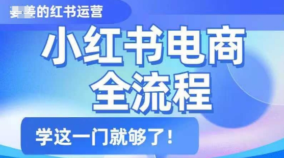 小红书电商全流程，精简易懂，从入门到精通，学这一门就够了-SBYUN网创