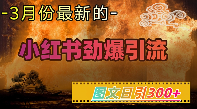 小红书超劲爆引流手段，图文日引300+轻松变现1W-SBYUN网创