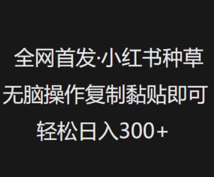 全网首发，小红书种草无脑操作，复制黏贴即可，轻松日入3张-SBYUN网创