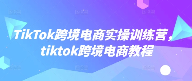 TikTok跨境电商实操训练营，tiktok跨境电商教程-SBYUN网创