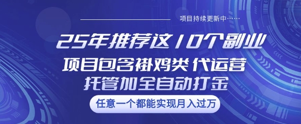 25年推荐这10个副业项目包含褂鸡类、代运营托管类、全自动打金类【揭秘】-SBYUN网创