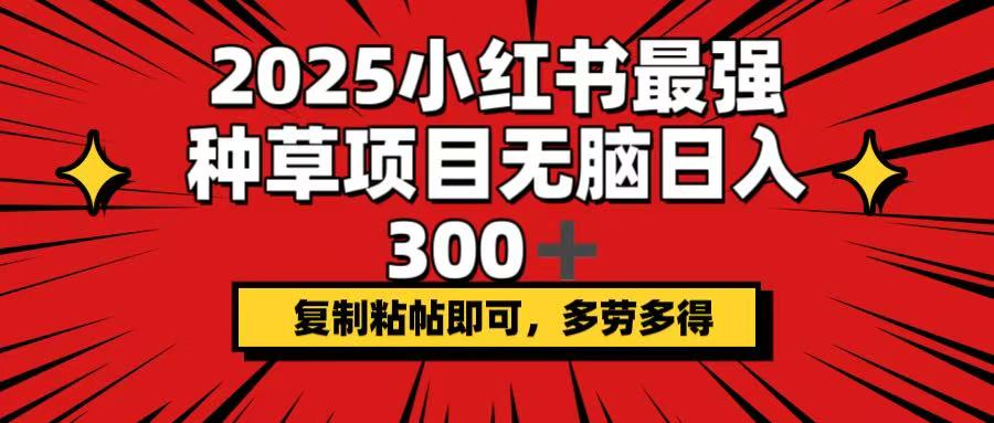（14375期）2025小红书最强种草项目，无脑日入300+，复制粘帖即可，多劳多得-SBYUN网创