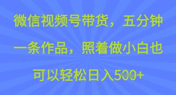 微信视频号带货，五分钟一条作品，照着做小白也可以轻松日入5张-SBYUN网创