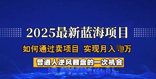 2025蓝海项目，普通人如何通过卖项目，实现月入过W，全过程【揭秘】-SBYUN网创