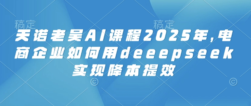 天诺老吴AI课程2025年，电商企业如何用deeepseek实现降本提效-SBYUN网创