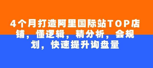4个月打造阿里国际站TOP店铺，懂逻辑，精分析，会规划，快速提升询盘量-SBYUN网创