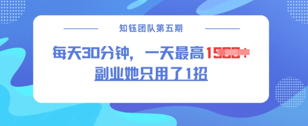 副业她只用了1招，每天30分钟，无脑二创，一天最高1.5k-SBYUN网创