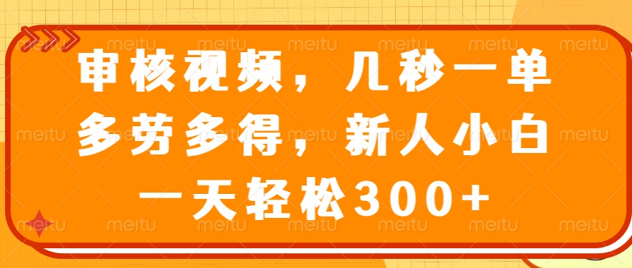 （14294期）审核视频，几秒一单，多劳多得，新人小白一天轻松300+-SBYUN网创