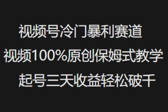 视频号冷门暴利赛道视频100%原创保姆式教学起号三天收益轻松破千-SBYUN网创