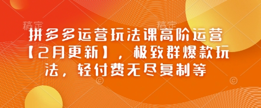 拼多多运营玩法课高阶运营【2月更新】，极致群爆款玩法，轻付费无尽复制等-SBYUN网创