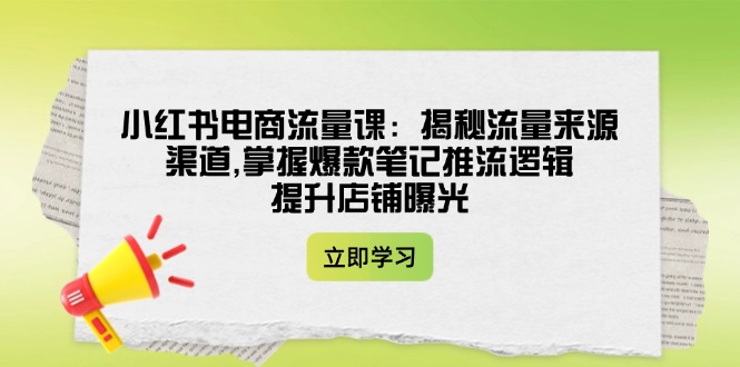 （14318期）小红书电商流量课：揭秘流量来源渠道,掌握爆款笔记推流逻辑,提升店铺曝光-SBYUN网创