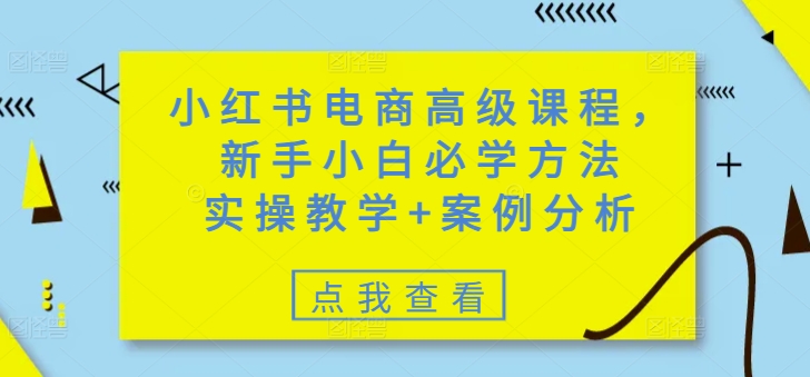 小红书电商高级课程，新手小白必学方法，实操教学+案例分析-SBYUN网创