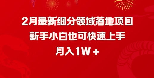 2月最新细分领域落地项目，新手小白也可快速上手，月入1W-SBYUN网创