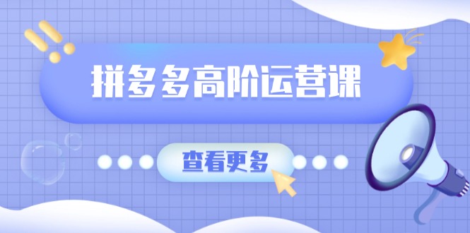 （14327期）拼多多高阶运营课：极致群爆款玩法，轻付费无尽复制，打造单品爆款之路-SBYUN网创