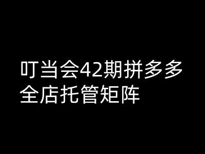 叮当会拼多多打爆班原创高阶技术第42期，拼多多全店托管矩阵-SBYUN网创